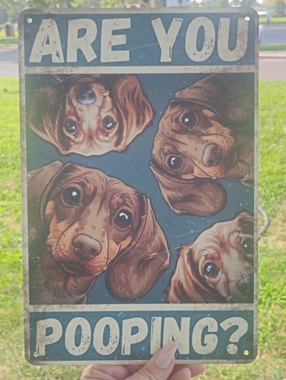 Are You Pooping? Dachshund Sign – Humorous Dog Bathroom Décor (Blue/Brown)